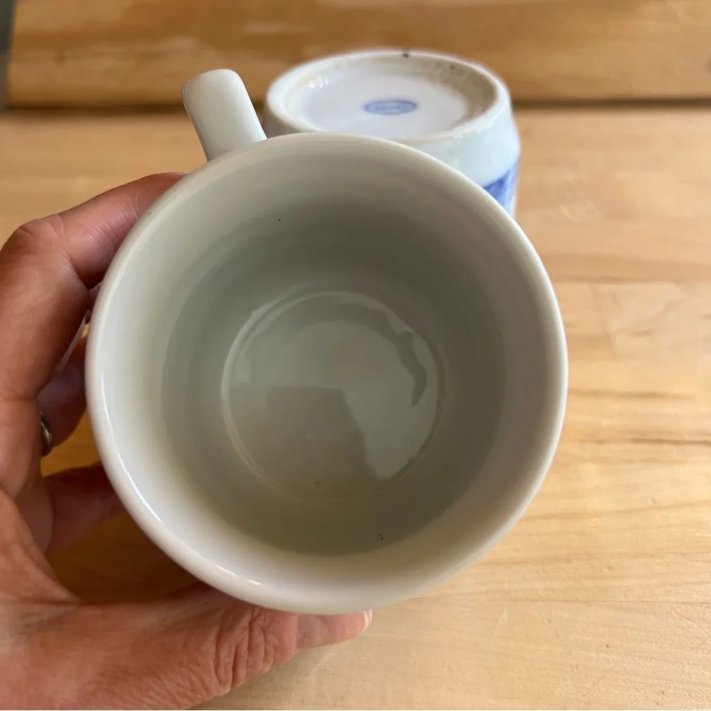Williams Sonoma set of 2 Blue white Plaid Ceramic Mugs coffee tea cup cottage
